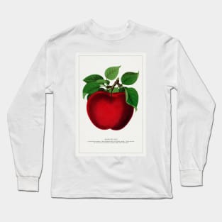 McIntosh Red Apple Lithograph (1900) Long Sleeve T-Shirt